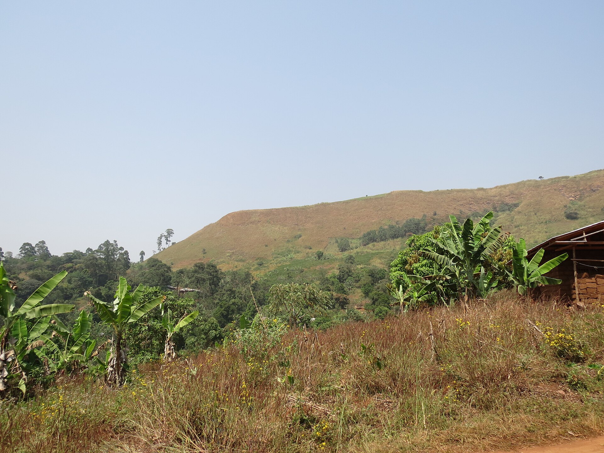 Cameroon travel landscape