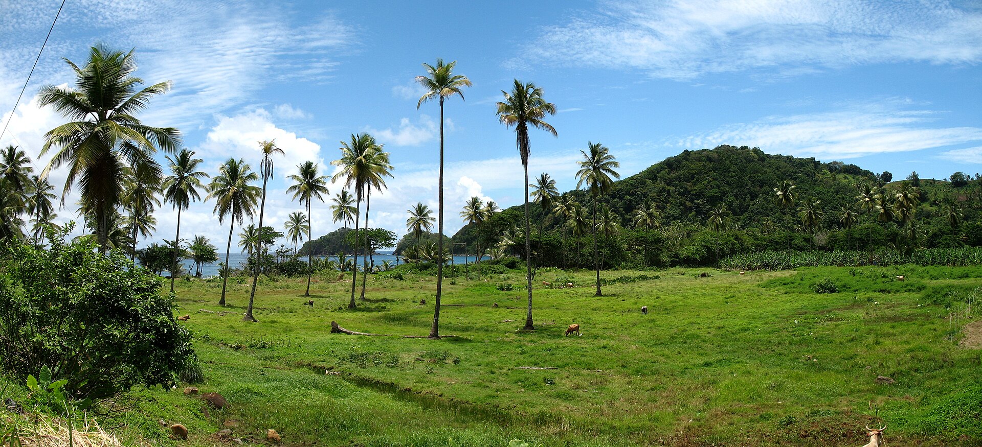 Dominica travel landscape