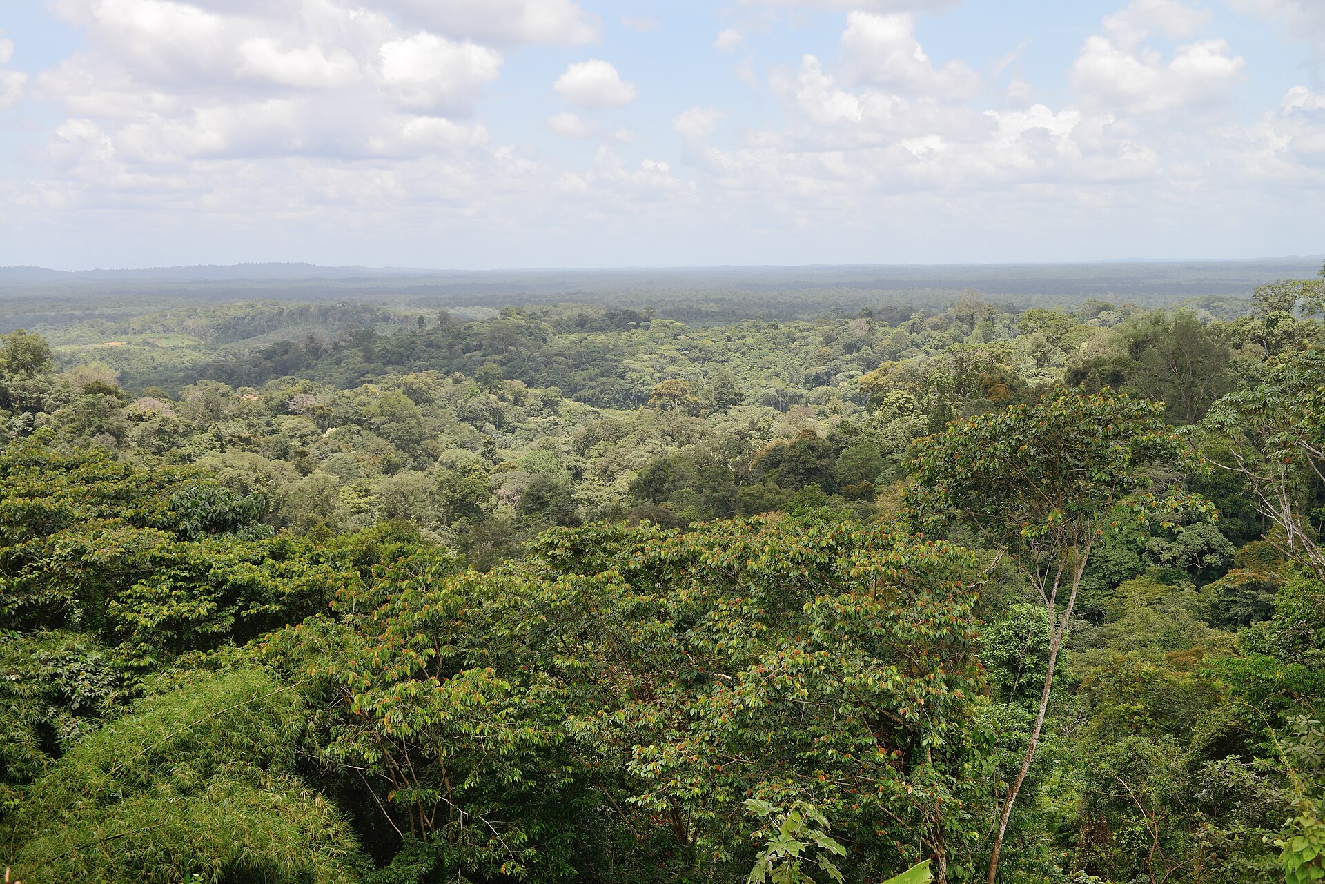French Guiana travel landscape
