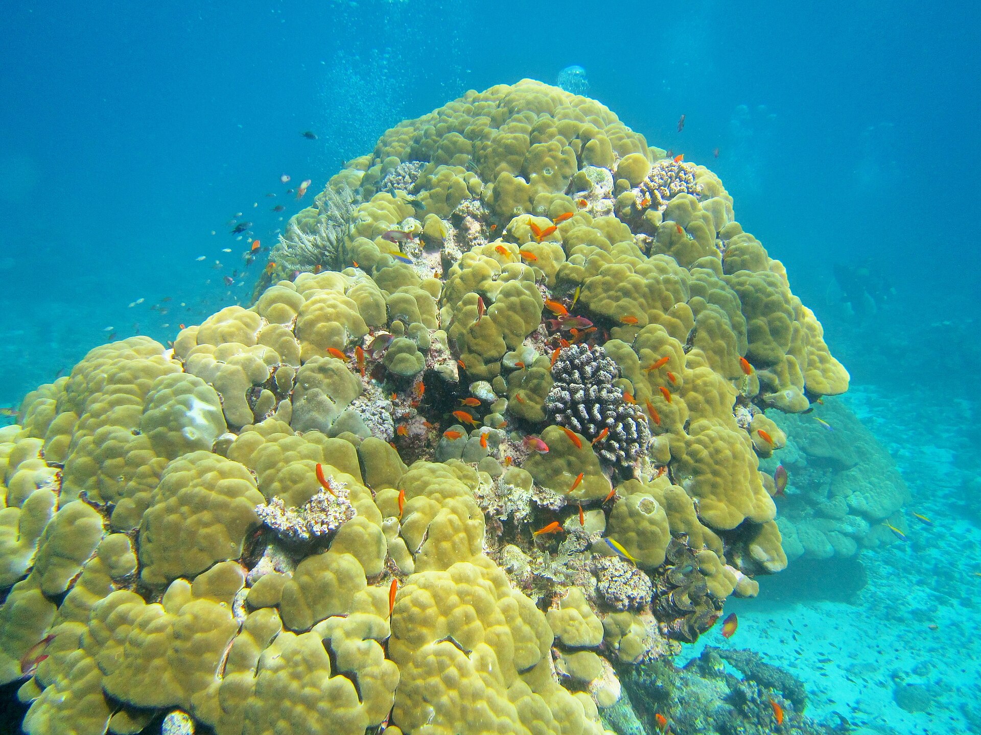 Mayotte travel landscape