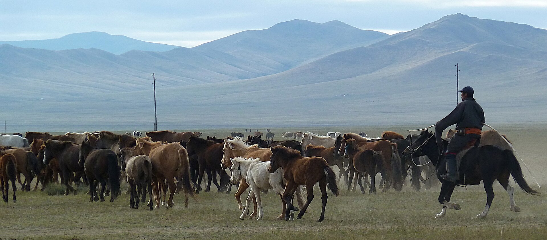 Mongolia travel landscape
