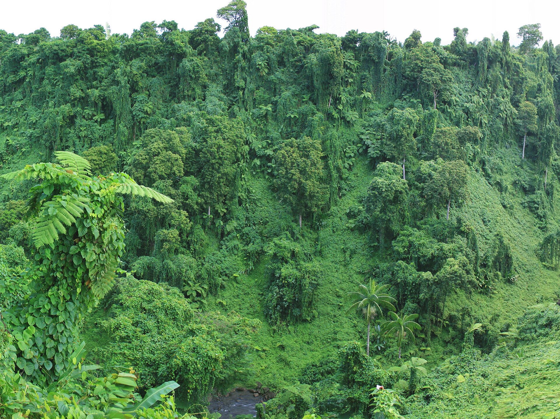 Samoa travel landscape