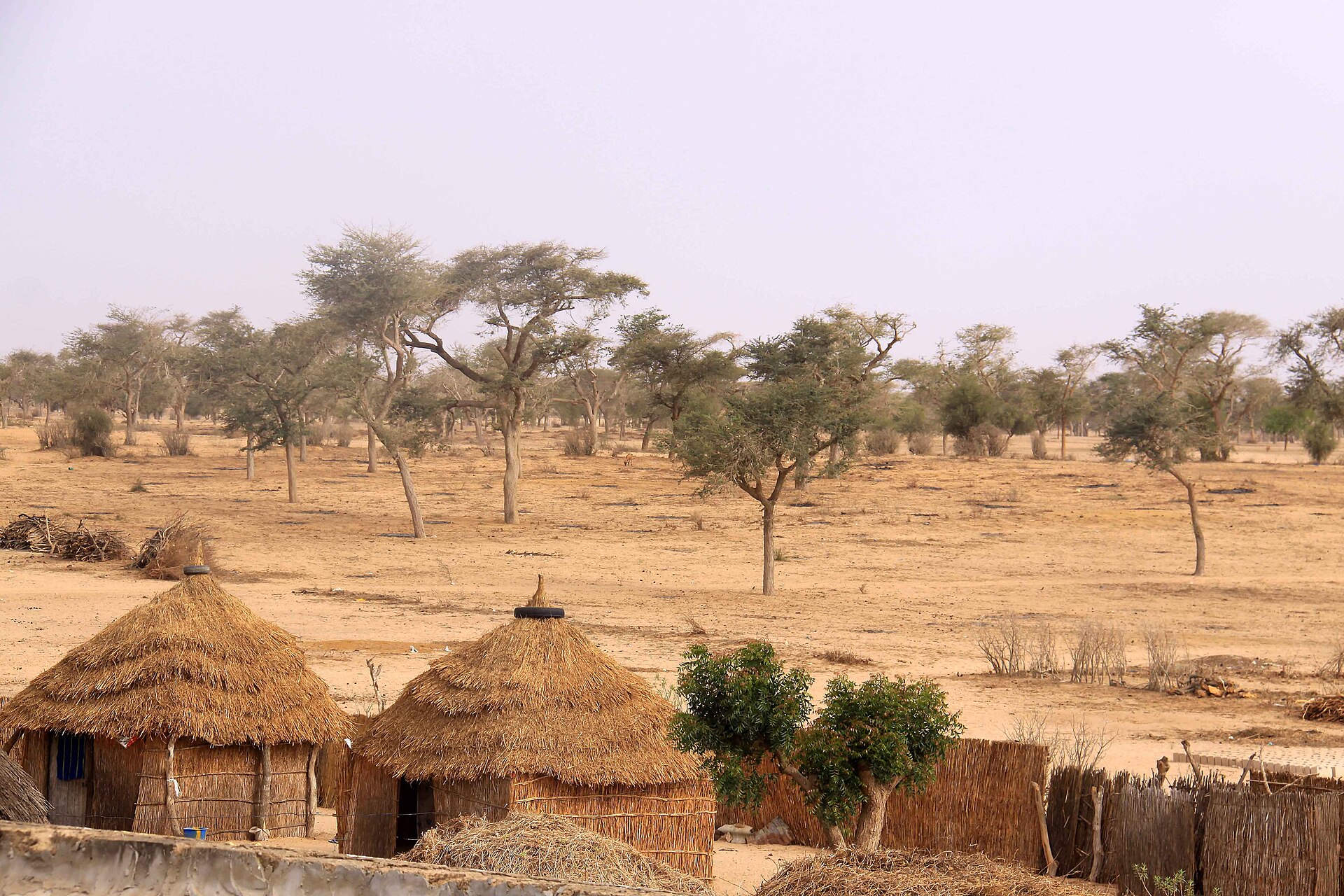 Senegal travel landscape