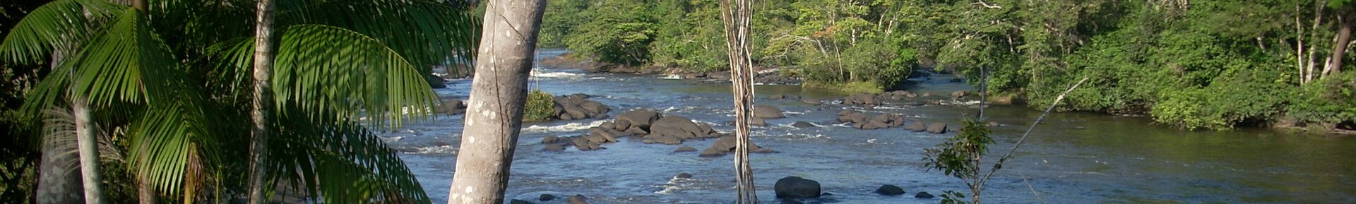 Suriname travel landscape